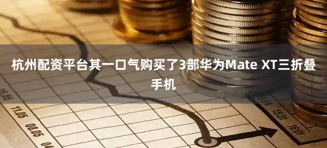 杭州配资平台其一口气购买了3部华为Mate XT三折叠手机