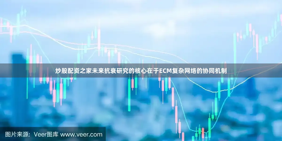 炒股配资之家未来抗衰研究的核心在于ECM复杂网络的协同机制