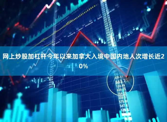 网上炒股加杠杆今年以来加拿大入境中国内地人次增长近20%